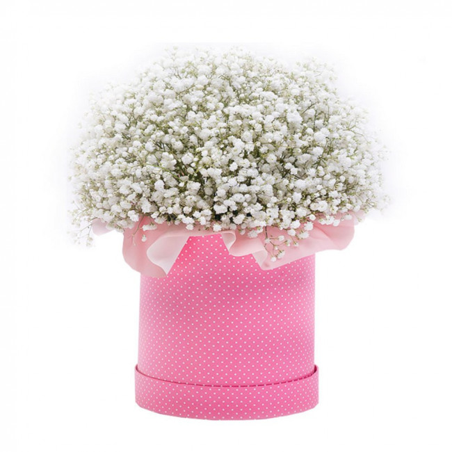 Букет цветов "Шляпная коробка с белой гипсофилой" Букет цветов "Шляпная коробка с белой гипсофилой"