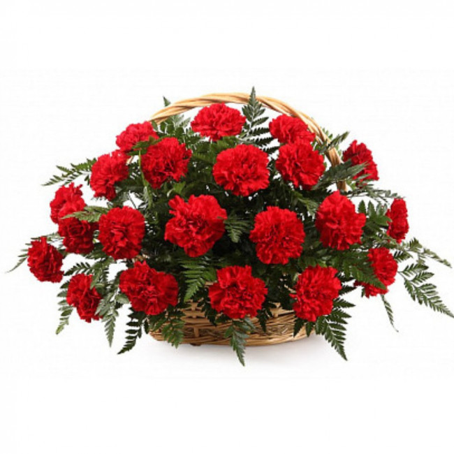 Букет цветов "Траурная корзина с гвоздиками" Букет цветов "Траурная корзина с гвоздиками"